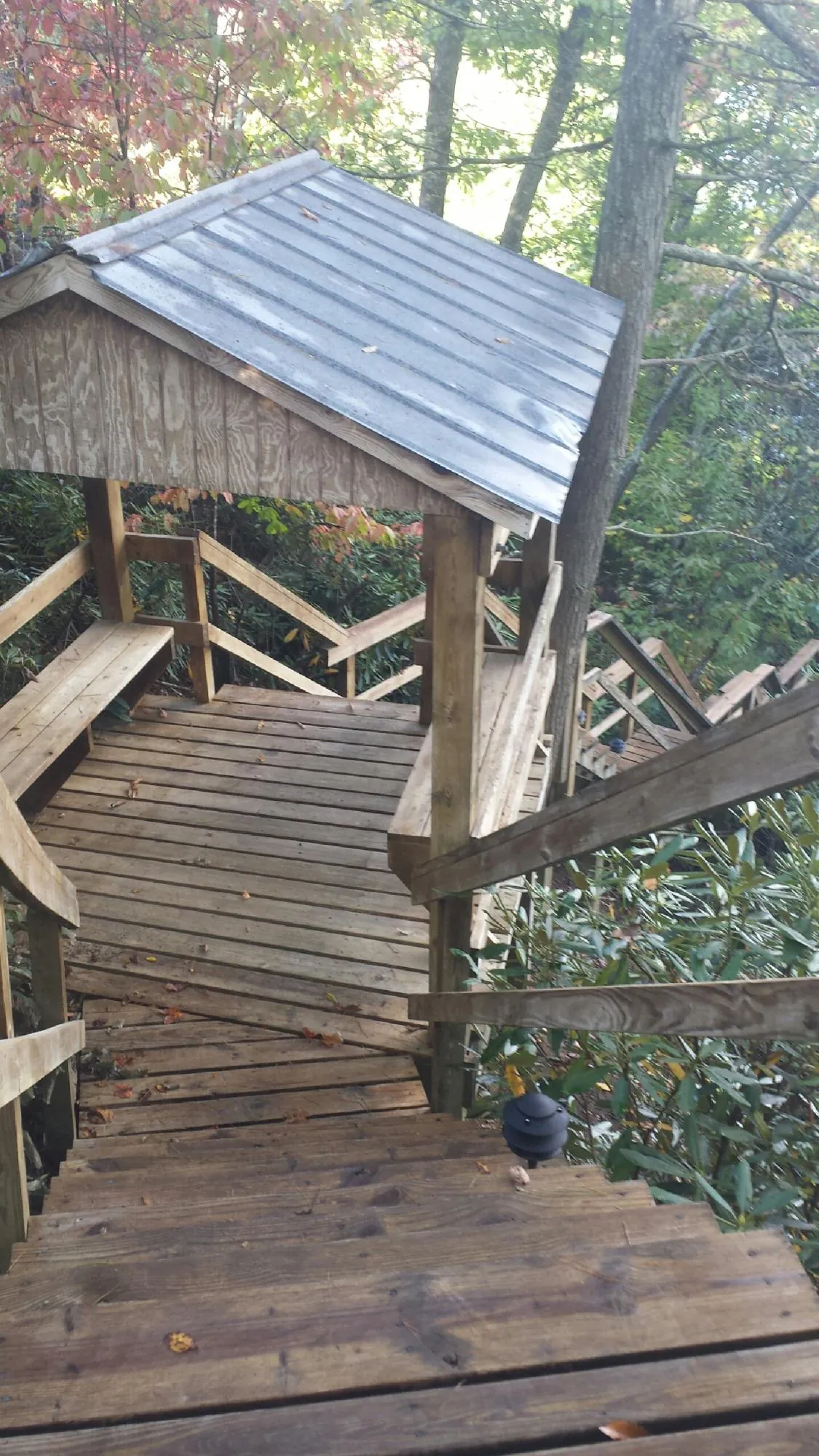 Metal roofed shelter over wooden steps on a wooded walkway — Skylight Repair & Installation work by our crew in Moran